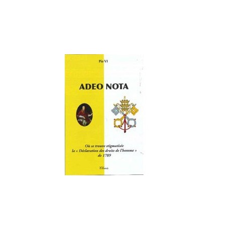 Adeo Nota - Pie VI