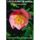 Les fleurs de Marie - Saint Bonaventure