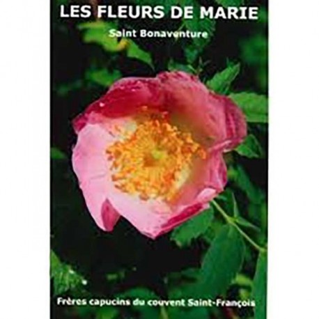 Les fleurs de Marie - Saint Bonaventure