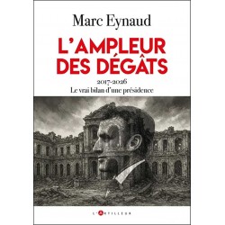 L'ampleur des dégâts - Marc Eynaud