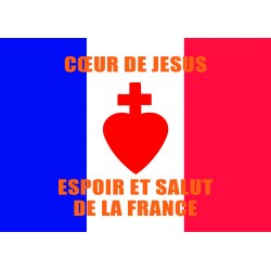 100 autocollants "Espoir et salut de la France"