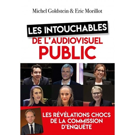 Les intouchables de l'audiovisuel public - Michel Goldstein et Eric Morillot