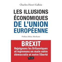 Les illusions économiques de l'Union européenne - Charles-Henri Gallois