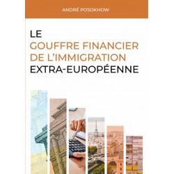 Le gouffre financier de l’immigration - André Posokhow