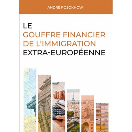 Le gouffre financier de l’immigration - André Posokhow