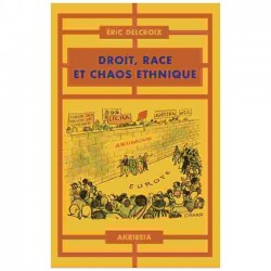 Droit, race et chaos ethnique - Éric Delcroix