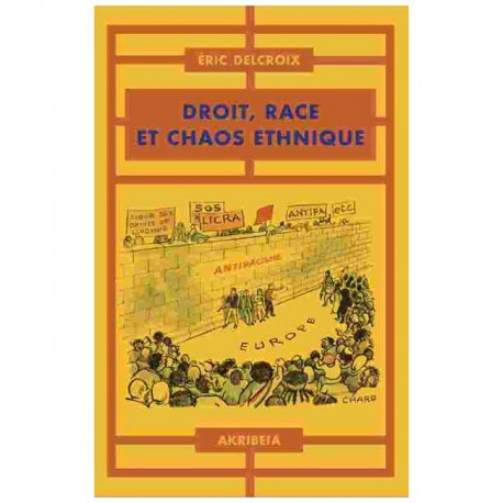 Droit, race et chaos ethnique - Éric Delcroix