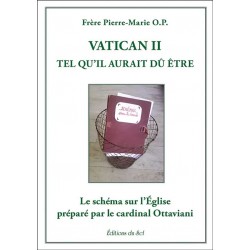 Vatican II tel qu’il aurait dû être - Frère Pierre-Marie