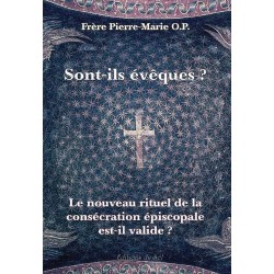 Sont-ils évêques ? - Frère Pierre-Marie