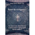 Sont-ils évêques ? - Frère Pierre-Marie