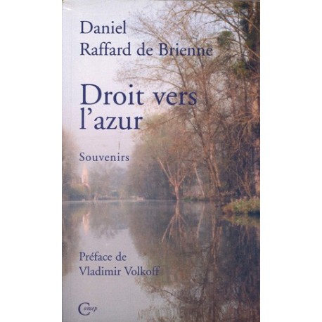 Droit vers l'azur - Daniel Raffard de Brienne