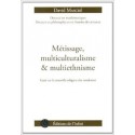 Métissage, multiculturalisme et multiethnisme - David Mascré