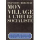 Mon village à l'heure socialiste - François Brigneau