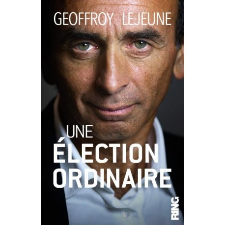 Une élection ordinaire - Geoffroy Lejeune