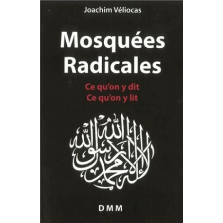 Mosquées radicales - Joachim Véliocas