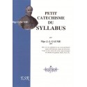 Petit catéchisme du Syllabus - Mgr Gaume