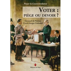 Voter : piège ou devoir ?  Guennaël de Pinieux