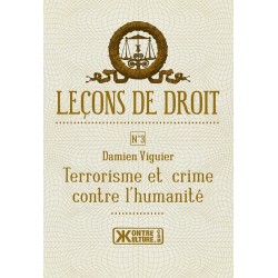 Leçons de droit - Damien Viguier