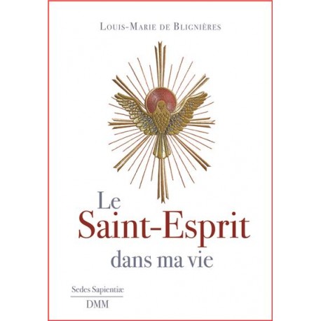 Le Saint-Esprit dans ma vie - Louis-Marie de Blignières