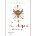 Le Saint-Esprit dans ma vie - Louis-Marie de Blignières