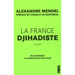 La France djihadiste - Alexandre Mendel