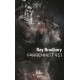 Fahrenheit 451 - Ray Bradbury (poche)