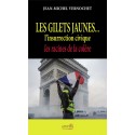 Les gilets jaunes - Jean-Michel Vernochet
