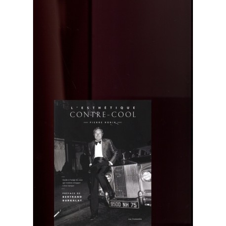 L'esthétique contre-cool - Pierre Robin