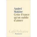 Cette France qu'on oublie d'aimer - Andréï Makine
