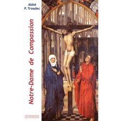 Notre-Dame de compassion - Patrick Troadec