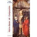 Notre-Dame de compassion - Patrick Troadec (poche)