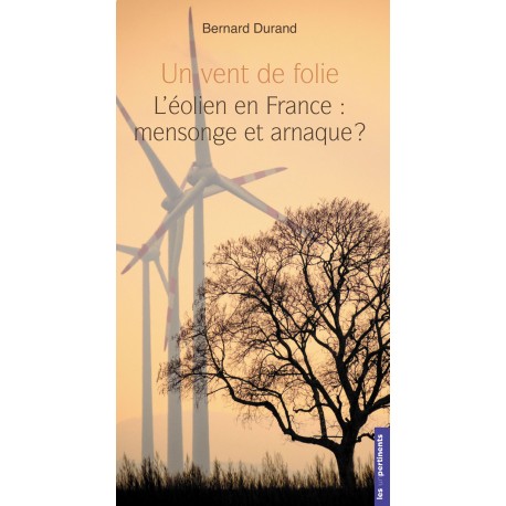 Un vent de folie - Bernard Durand 