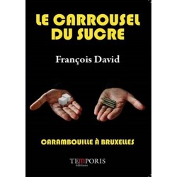 Le carrousel du Louvre -  François David