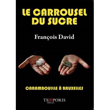 Le carrousel du Louvre -  François David