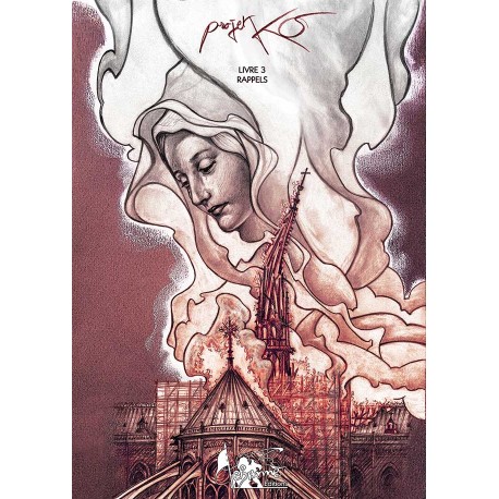 Projet KO : livre 2, miroirs (format BD)