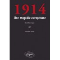 1914. Une tragédie européenne - Yves-Marie Adeline