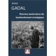Théories américaines du bombardement stratégique - Serge Gadal