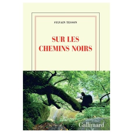 Sur les chemins noirs - Sylvain Tesson