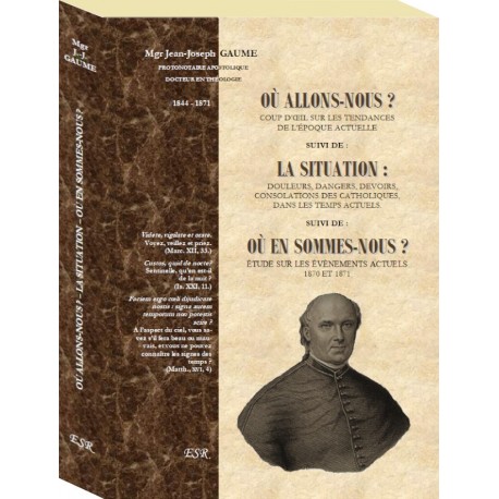 Où allons-nous ? La situation Où en sommes-nous ? - Mgr Gaume