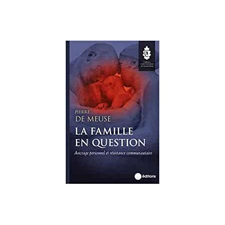 La famille en question - Pierre de Meuse