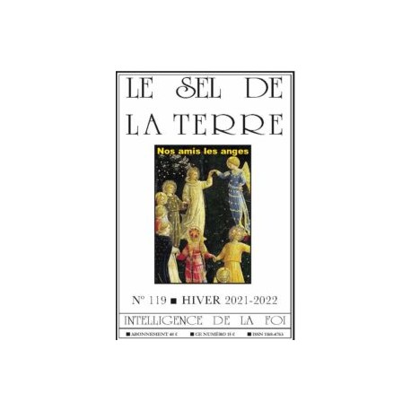 Le Sel de la Terre - n°119