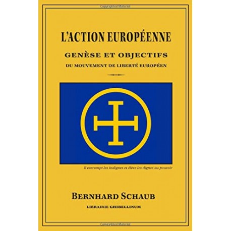 L'action européenne - Bernhard Schaub