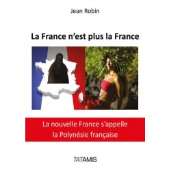La France n'est plus la France - Jean Robin