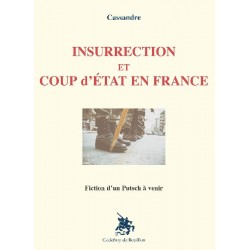 Insurrection et coup d'Etat en France - Cassandre