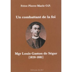 Un combattant de la foi, Mgr Louis-Gaston de Ségur (1820-1881) - Frère Pierre-Marie O.P.