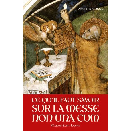 Ce qu'il faut savoir sur la messe non una cum - Abbé Francesco Ricossa