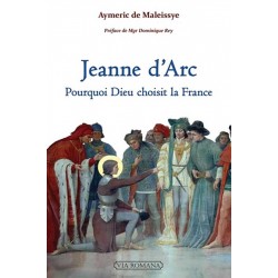Jeanne d'Arc : pourquoi Dieu choisit la France - Aymeric de Maleissye
