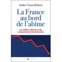 La France au bord de l'abîme - André-Victor Robert